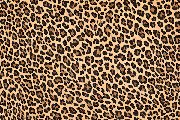 leo print muster kombinieren